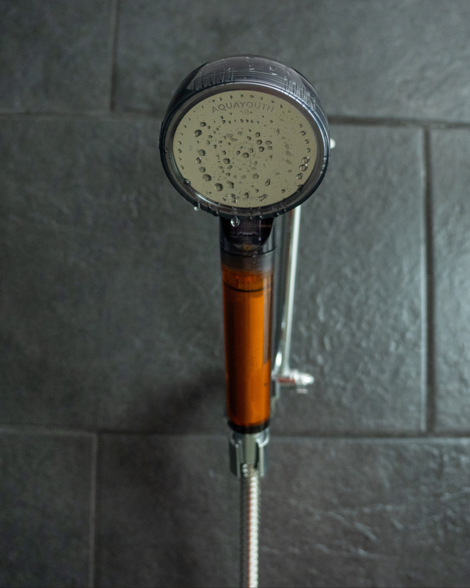 Vitamin C Shower Head