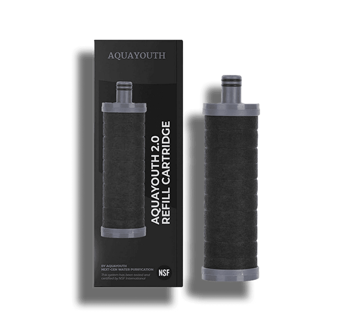 2.0 Carbon Replacement Filter.